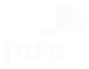 pwc_blanc_degrade_small